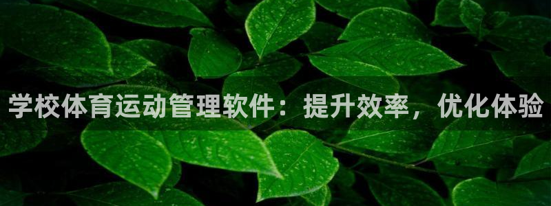必一体育网页登陆：学