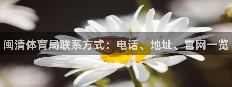 必一体育是哪里的台子