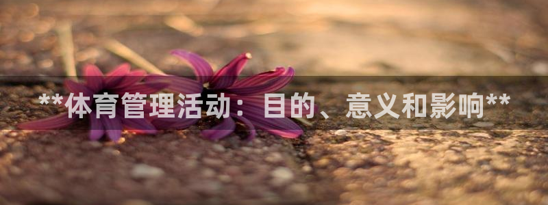 必一体育sport装