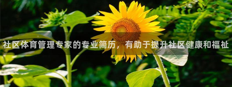 必一体育sport下
