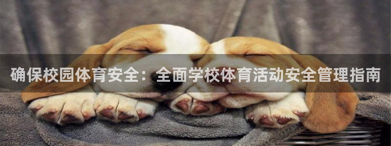 必一体育app官方网