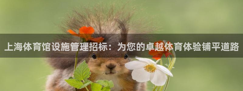 必一运动短信：上海体