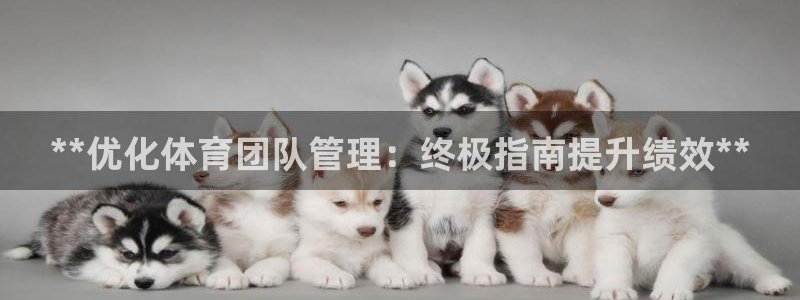 必一体育没了：**优
