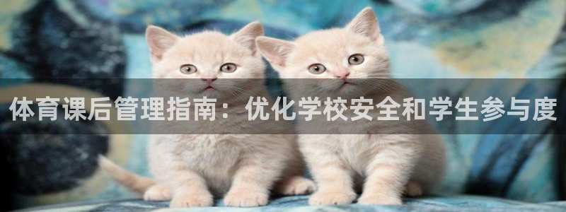 必一运动官网入口：体
