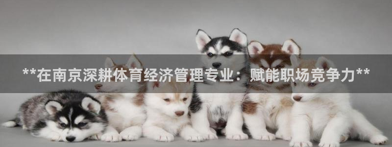 必一体育登录入口AP