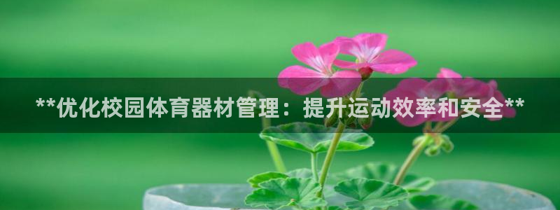 必一体育下载秀给网：