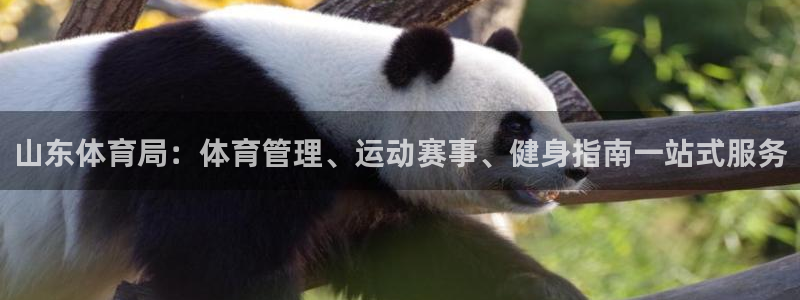 必一体育下载意思：山