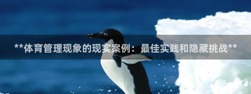 必一体育sport网
