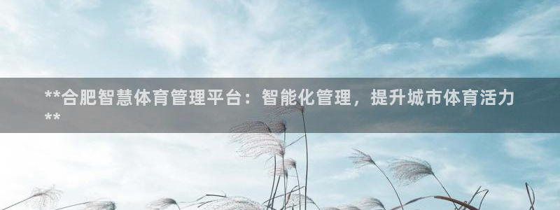 必一体育在线下载：*