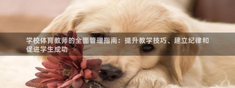 必一体育能提现大金额