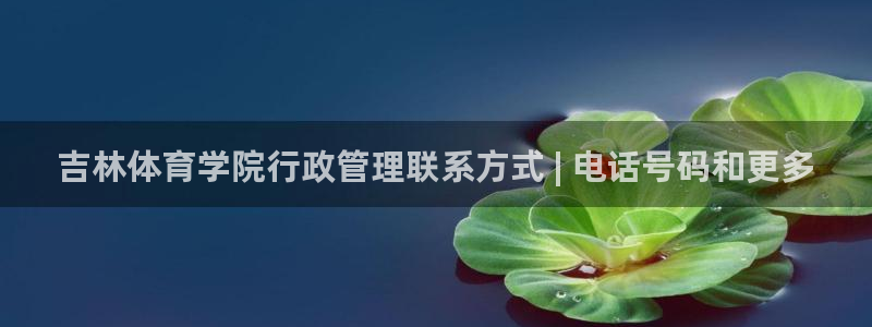 必一体育app官方正