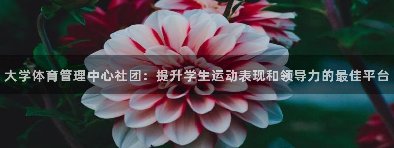 必一体育皮尔斯：大学