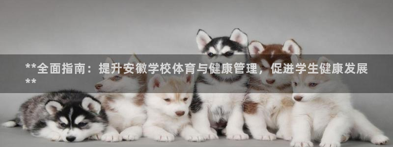 必一体育服下载最新版
