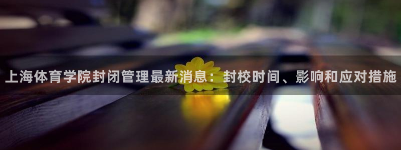 必一体育sport官