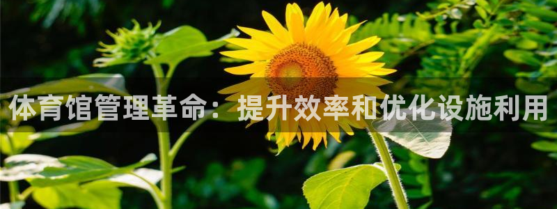 必一运动官网：体育馆