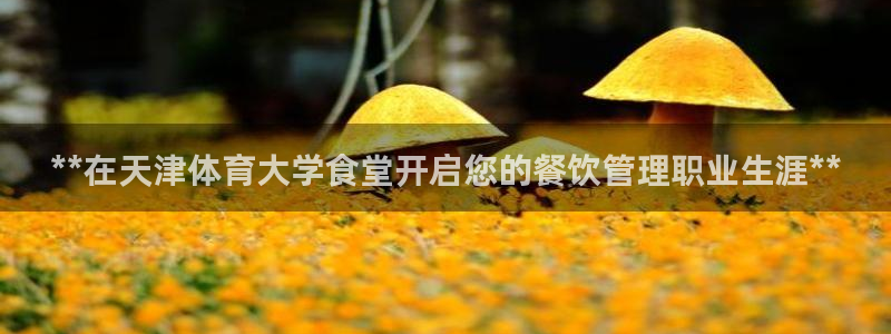 必一体育下载app下