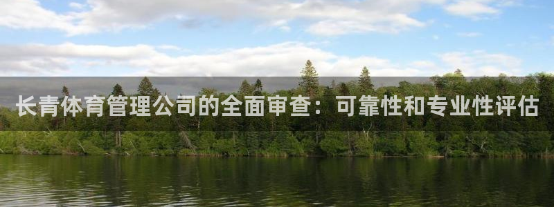 必一运动 b 体育素