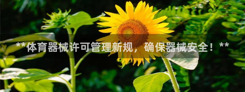 必一运动体：**体育