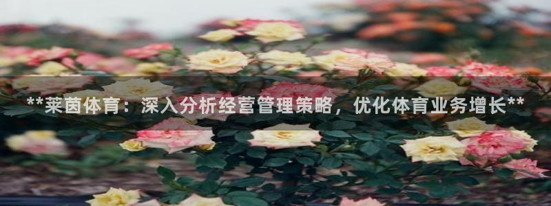 必一体育sport官