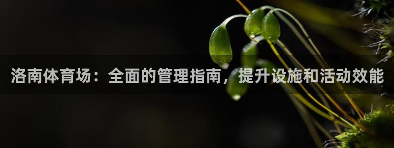 必一运动体：洛南体育