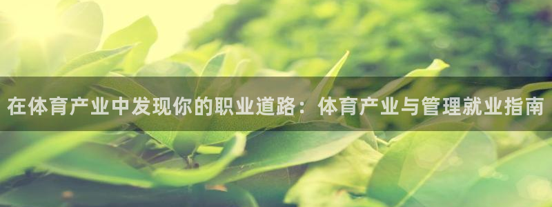 必一体育官方网站入口：在体育产业中发现你的职业道路：体育产业