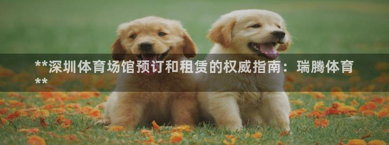 必一体育手机下载：*