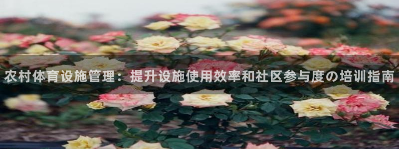 b体育官网下载入口a