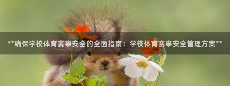 必一体育在哪下：**