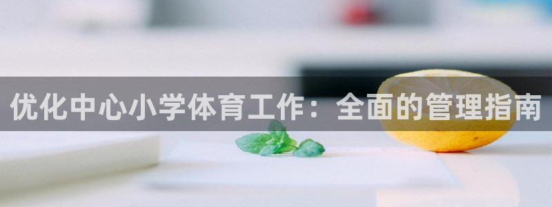 必一运动·体育：优化