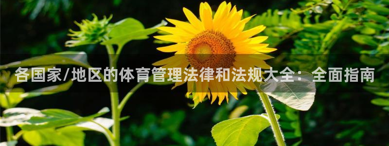 必一体育bsport