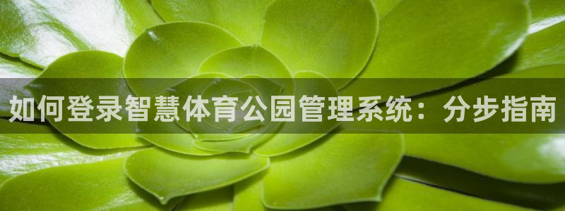 Bsport体育必一