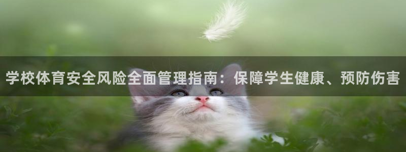 必一体育sport下