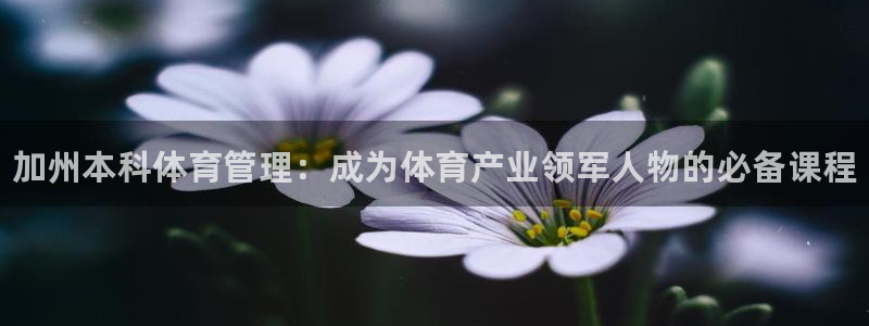 必一体育运动下载：加州本科体育管理：成为体育产业领军人物的必