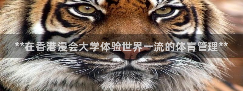 必一运动验证码：**在香港浸会大学体验世界一流的体育管理**
