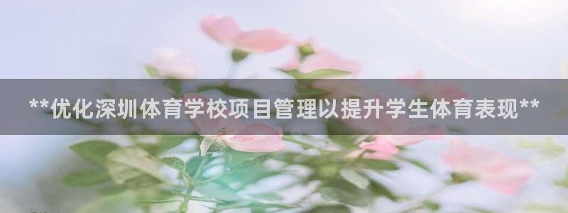 必一体育是哪里的台子