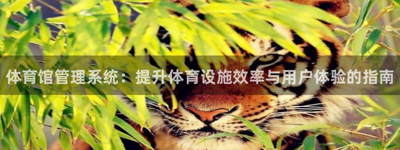 必一体育官网入口：体