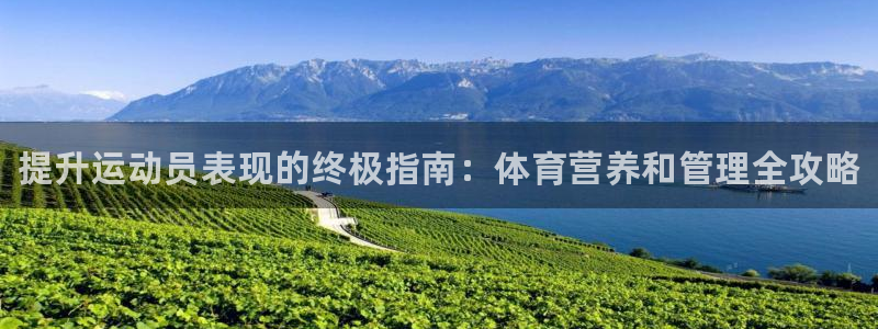 必一体育验证码：提升运动员表现的终极指南：体育营养和管理全攻