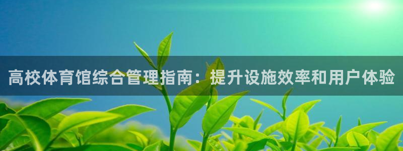 必一体育网页：高校体育馆综合管理指南：提升设施效率和用户体验