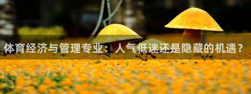 必一体育：体育经济与