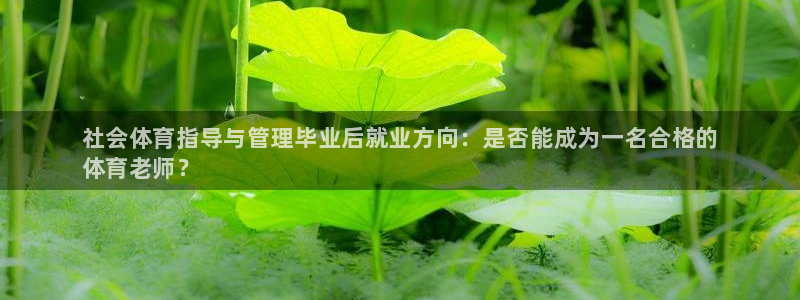 必一运动sport爱