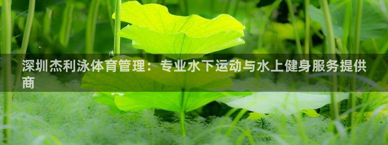 必一体育运动app：