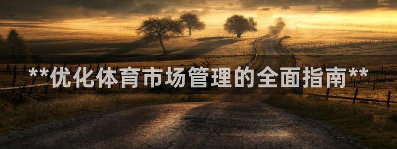 必一体育能提现大金额