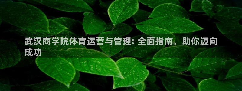 b体育官网下载入口a