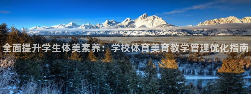 必一体育网页：全面提