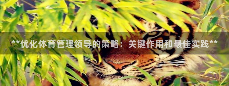 必一运动 b 体育素