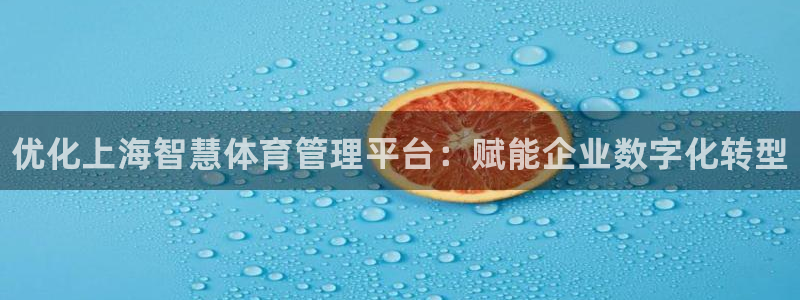 必一体育sport装