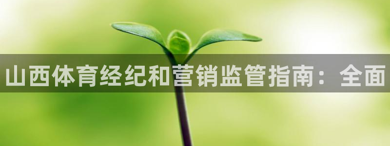 必一体育app官方正