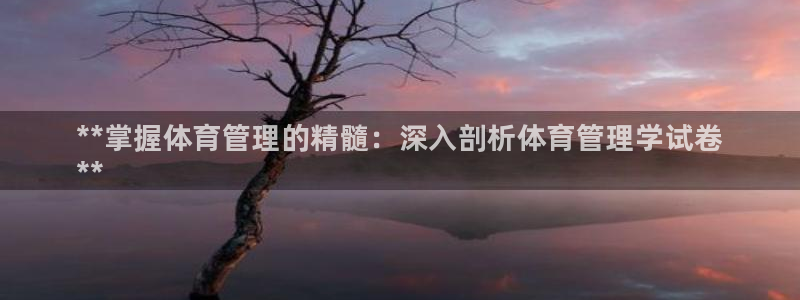 必一体育sport官