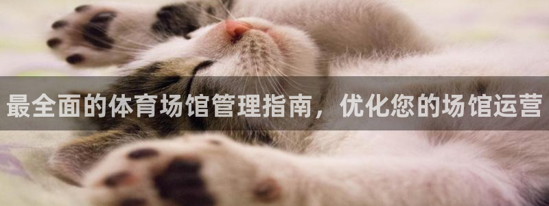 必一体育sport官