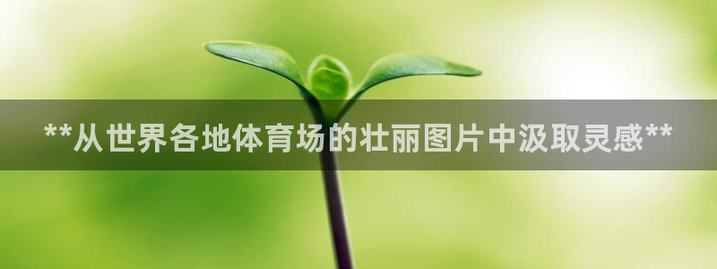 必一体育sport装